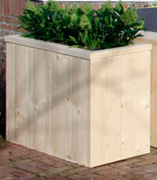 plantbak2